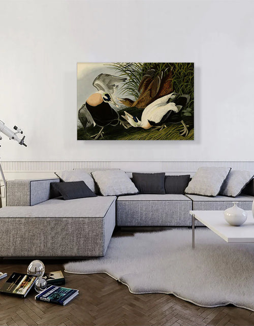 Load image into Gallery viewer, Eider Duck
